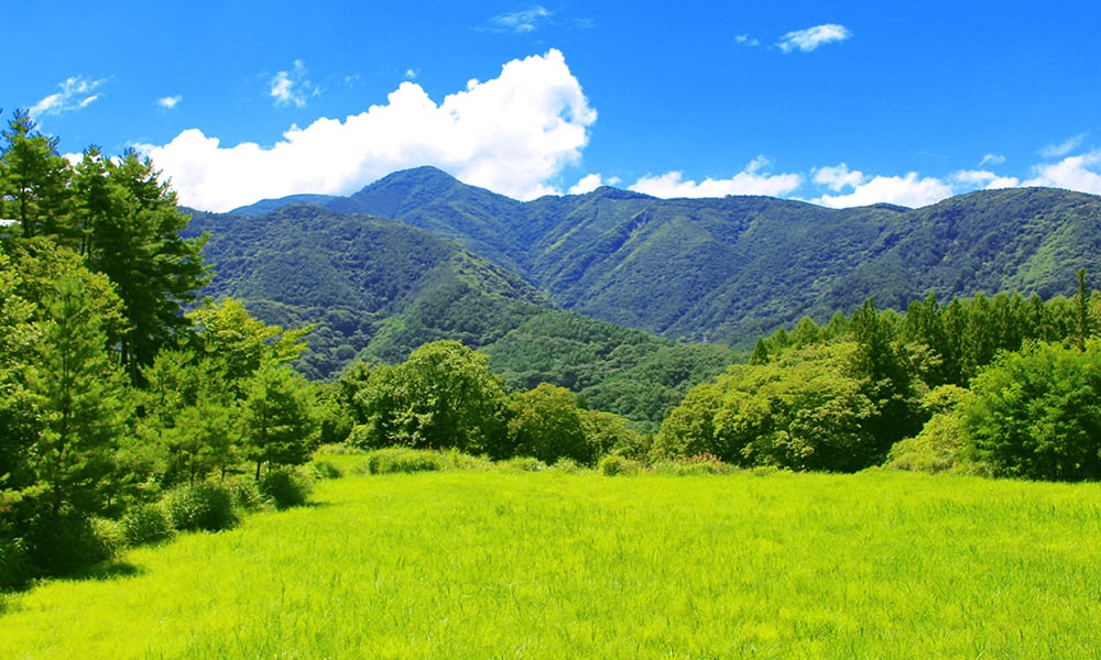ISO14001 - Environmental management systems